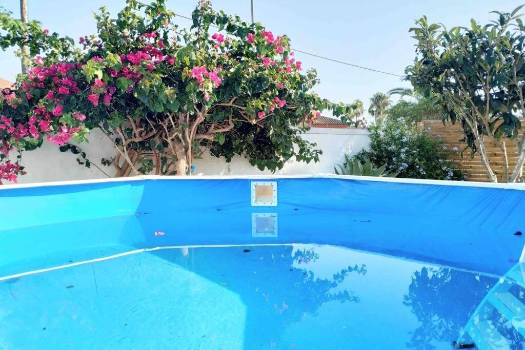 Apartamento Privado Con Jardin, Piscina Elevada Y Bbq Chiclana de la Frontera Extérieur photo